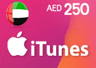 App Store & iTunes Gift Card - UAE 250 [AED]